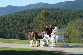 Crabapple Carriage & Buggy Co. Alpharetta, Georgia