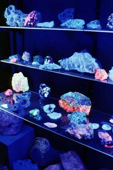 Museum of Geology Rapid City, South Dakota