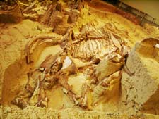 Mammoth Site in Hot Springs, South Dakota