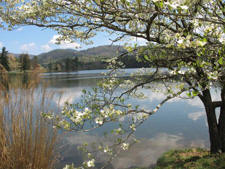 Beaver Lake Bentonville, Arkansas
